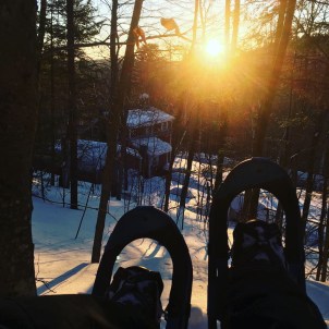 6c58dbed-8b08-4c7a-95b0-557042579241