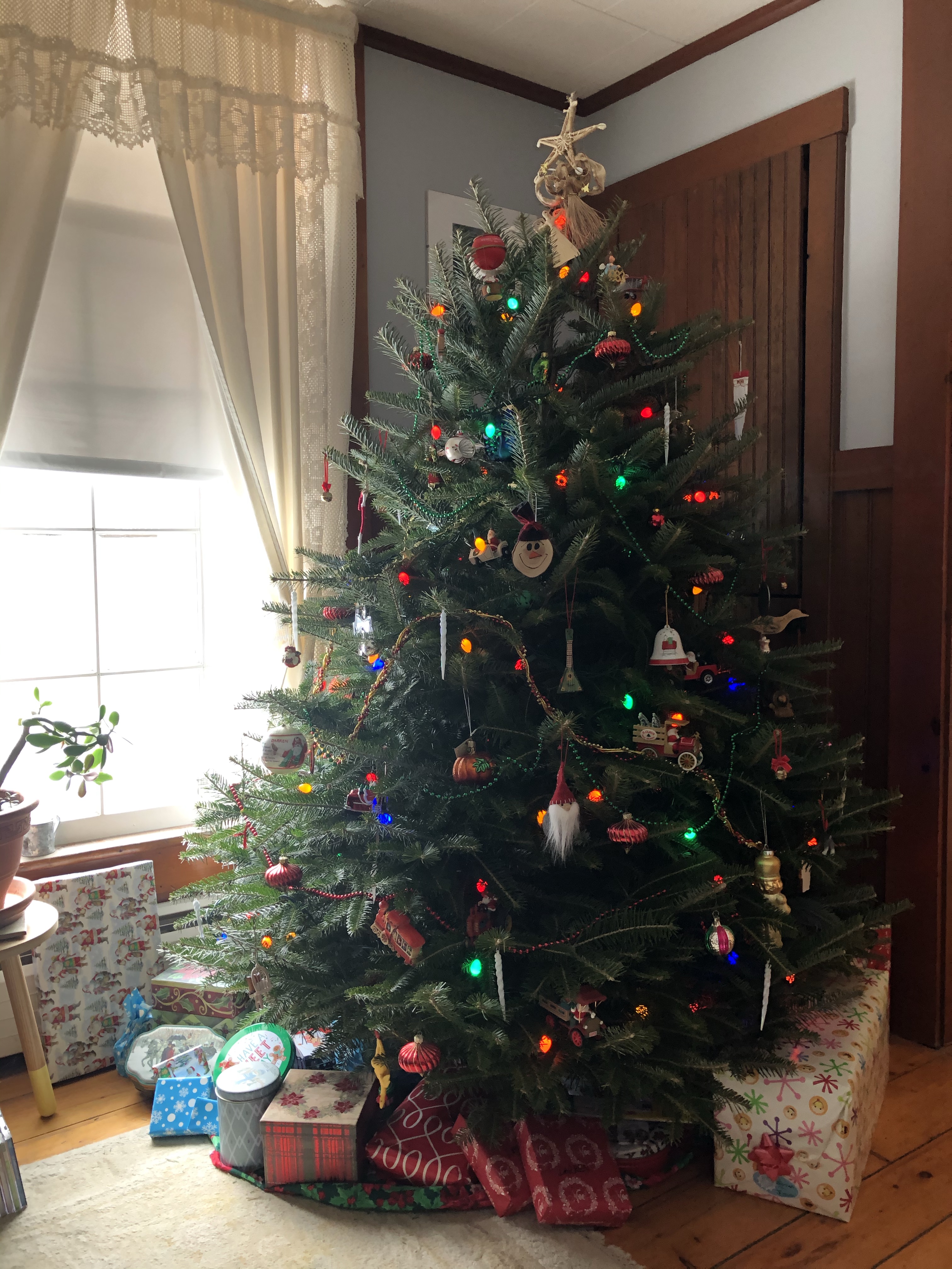 Christmas Tree 2019!